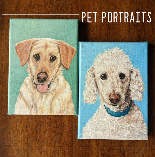 Pet Portrait Ordering Guide | Q&A