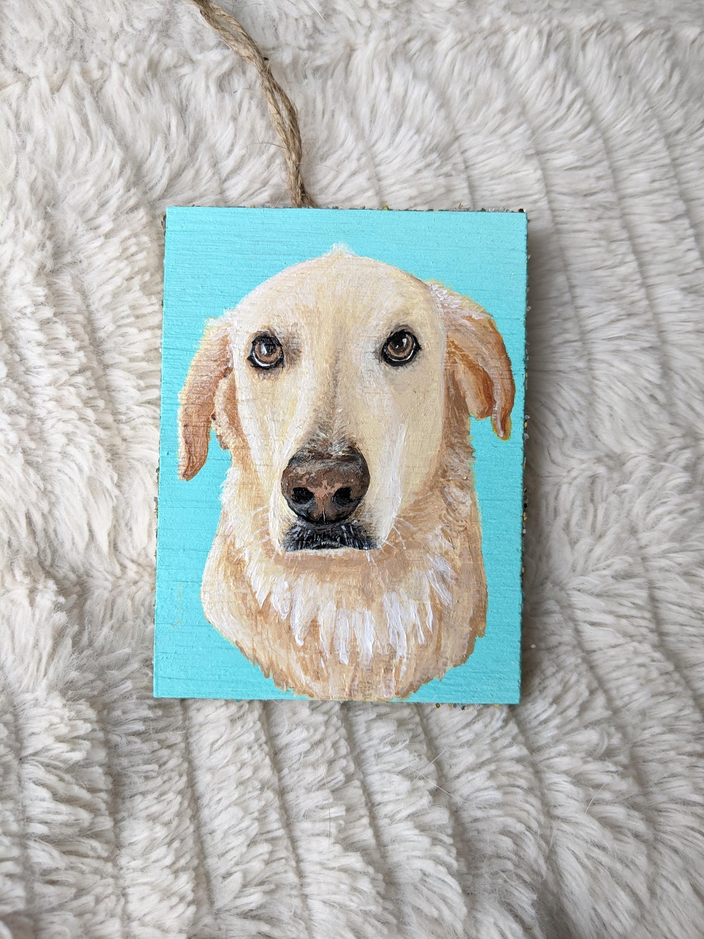 MINI Pet Portrait | Ornament size