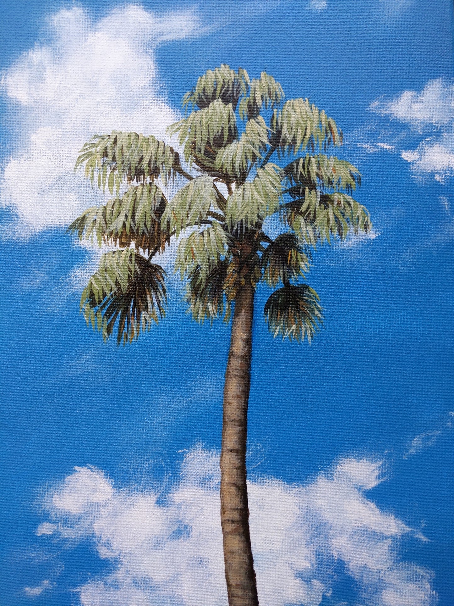 Blue skies and palm trees 1 | 10X20