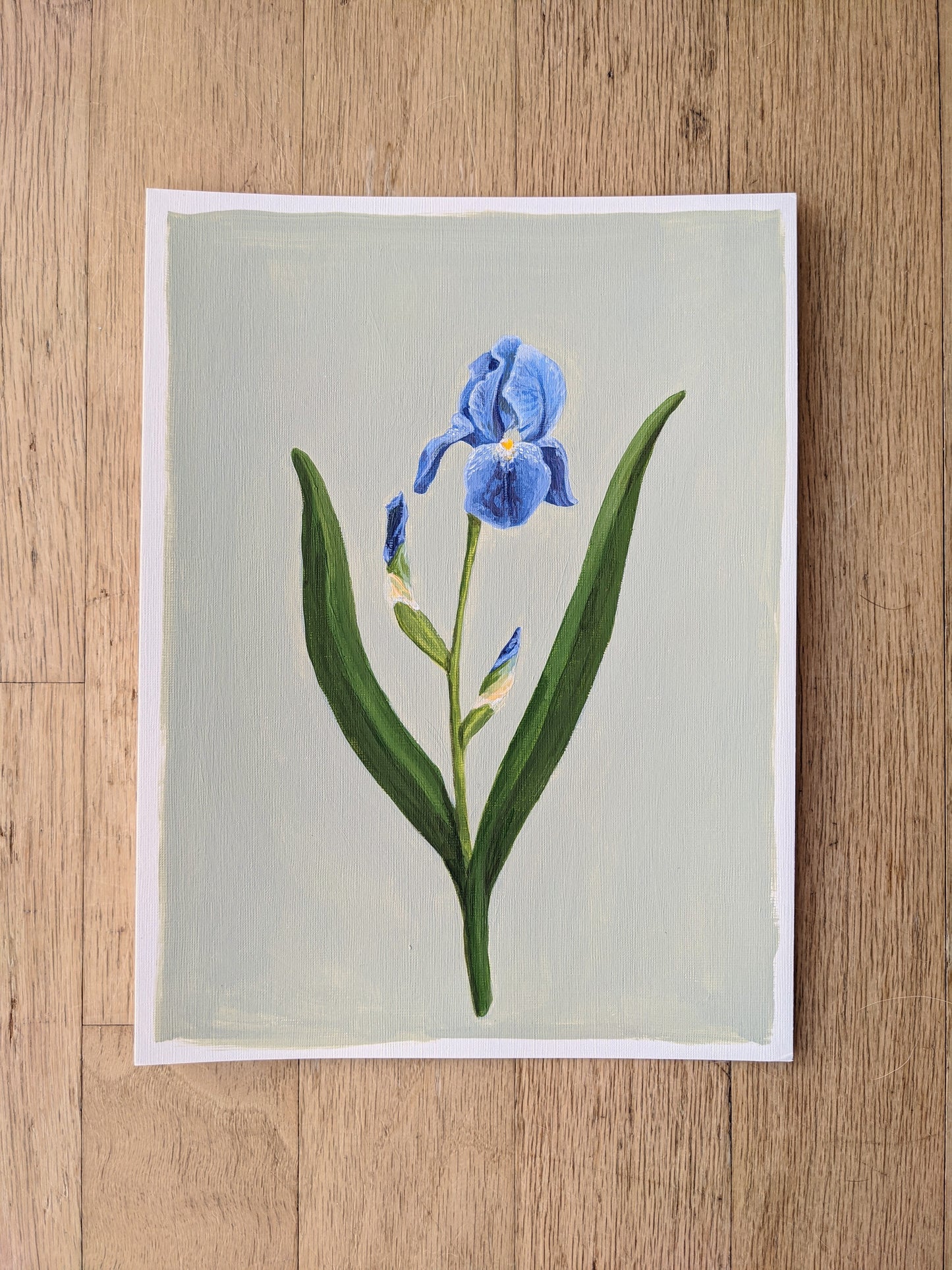 Day 22 Iris | 9X12 inch original painting