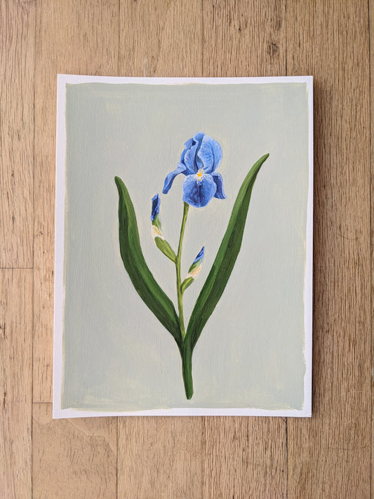 Day 22 Iris | 9X12 inch original painting