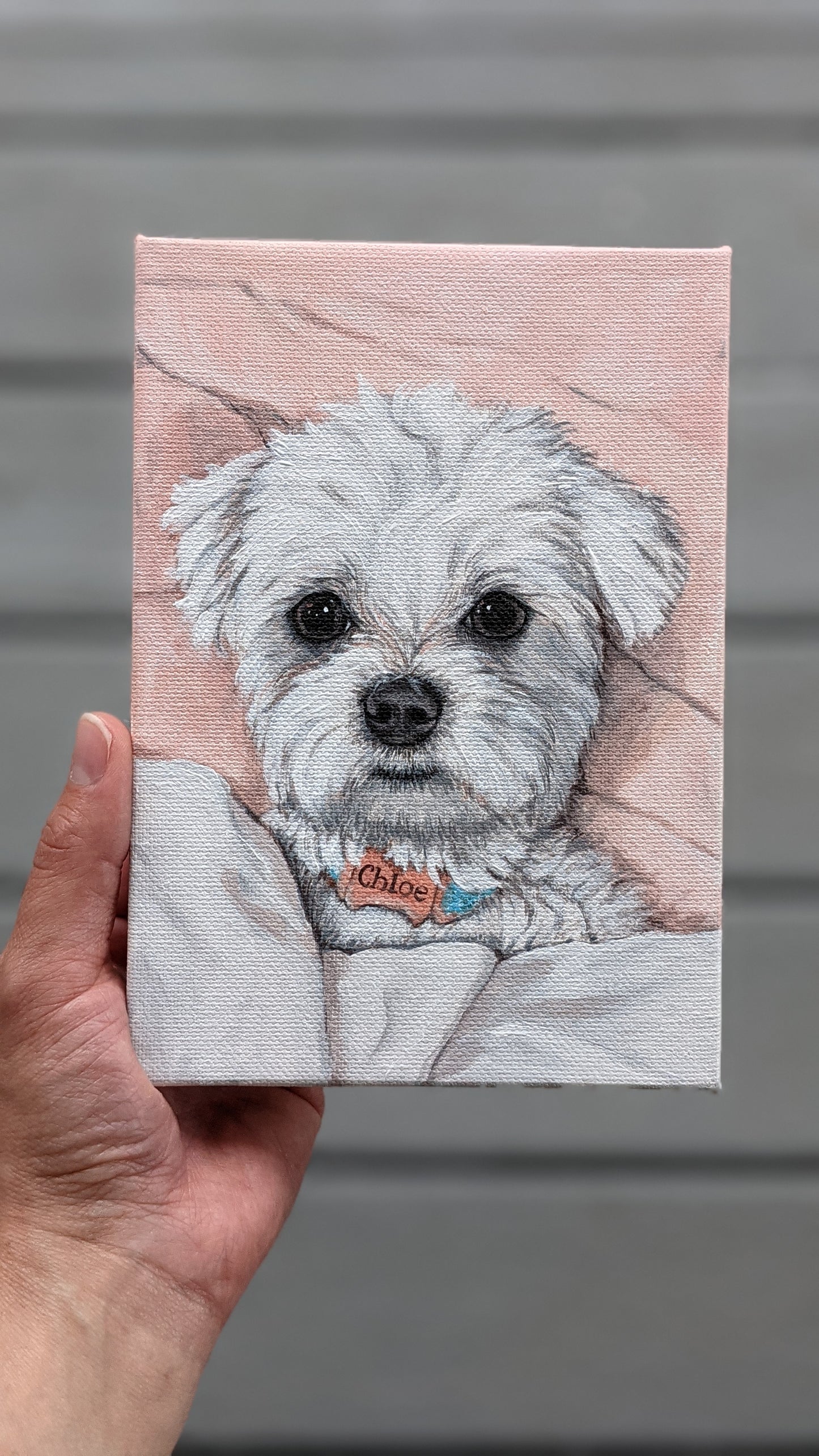 Custom Pet Portraits on Canvas