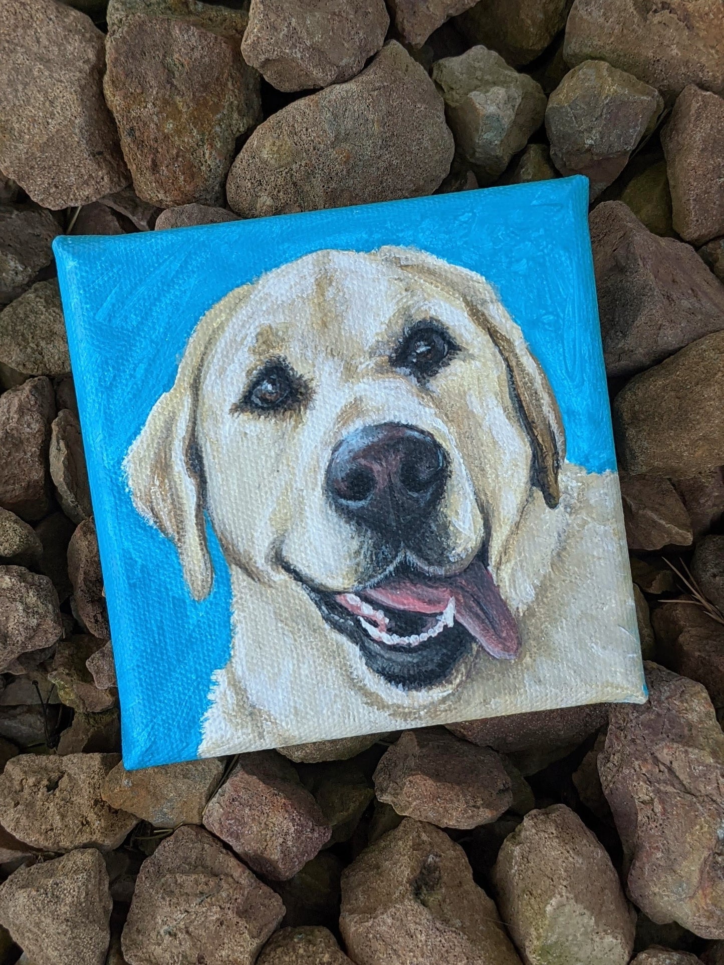 Custom Pet Portraits on Canvas