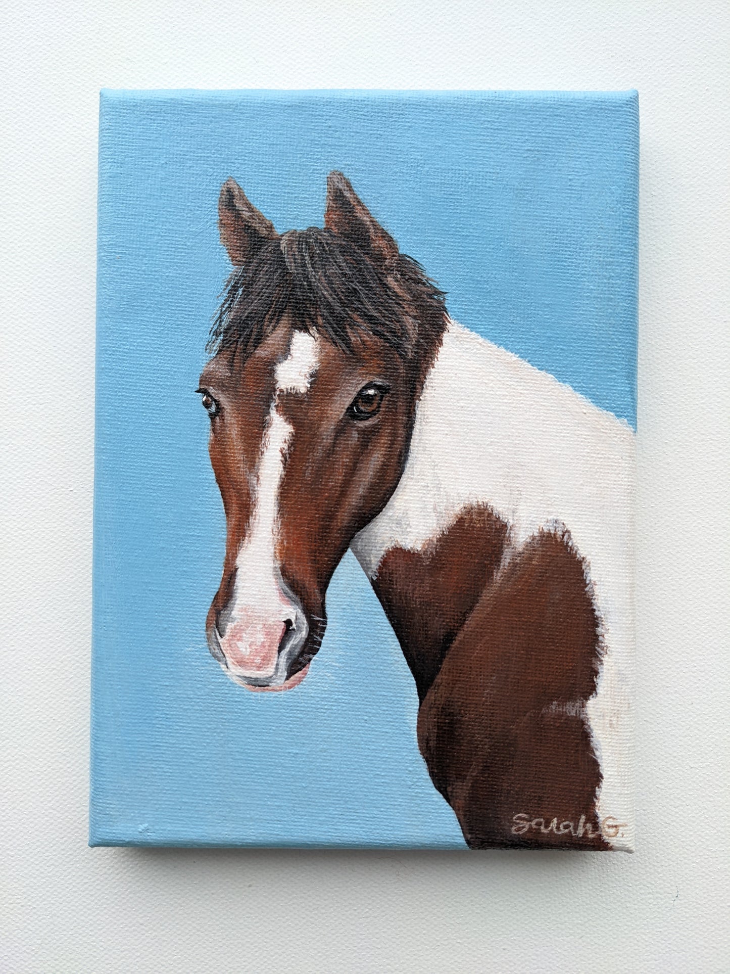 Custom Pet Portraits on Canvas