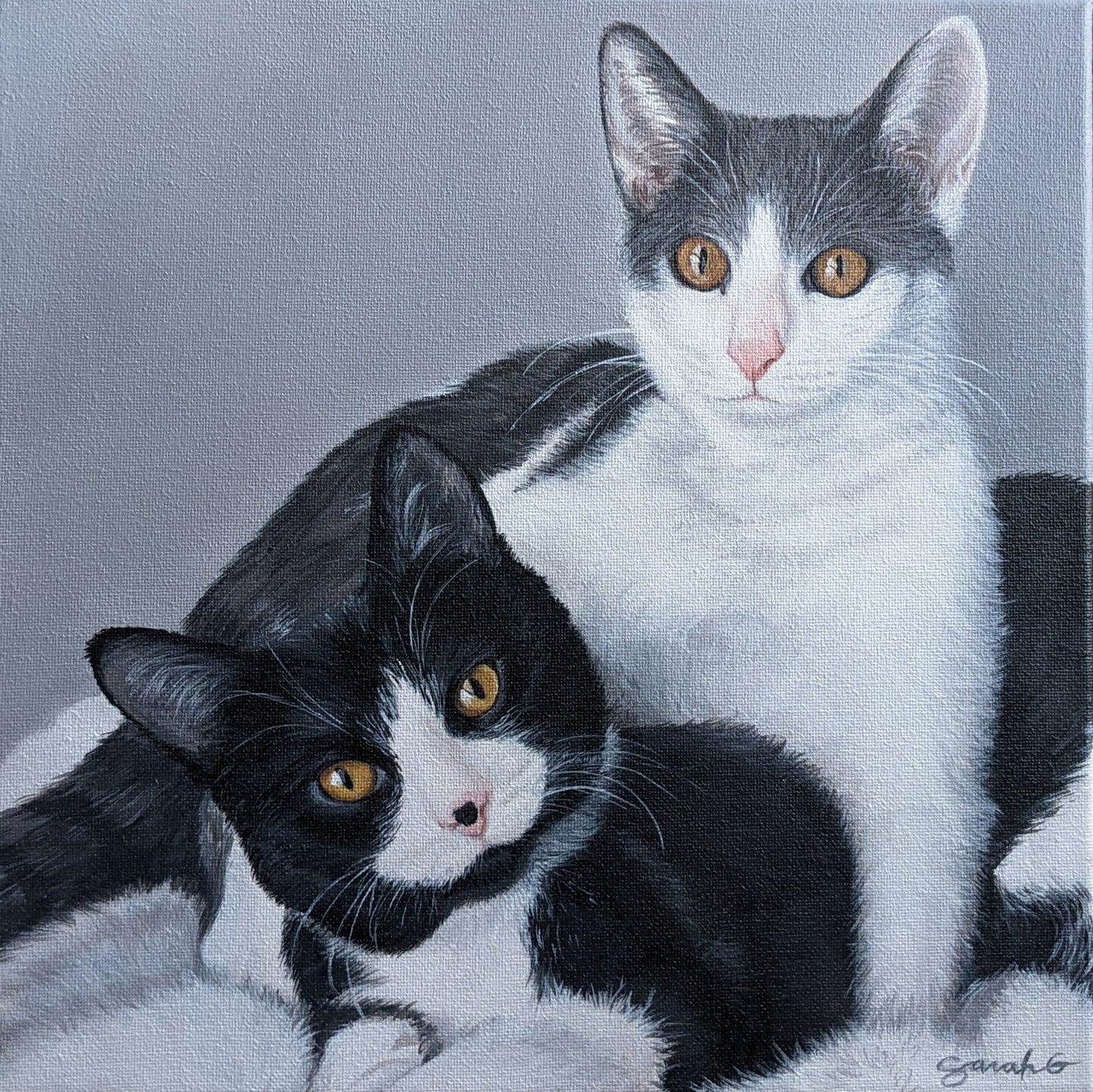 Custom Pet Portraits on Canvas