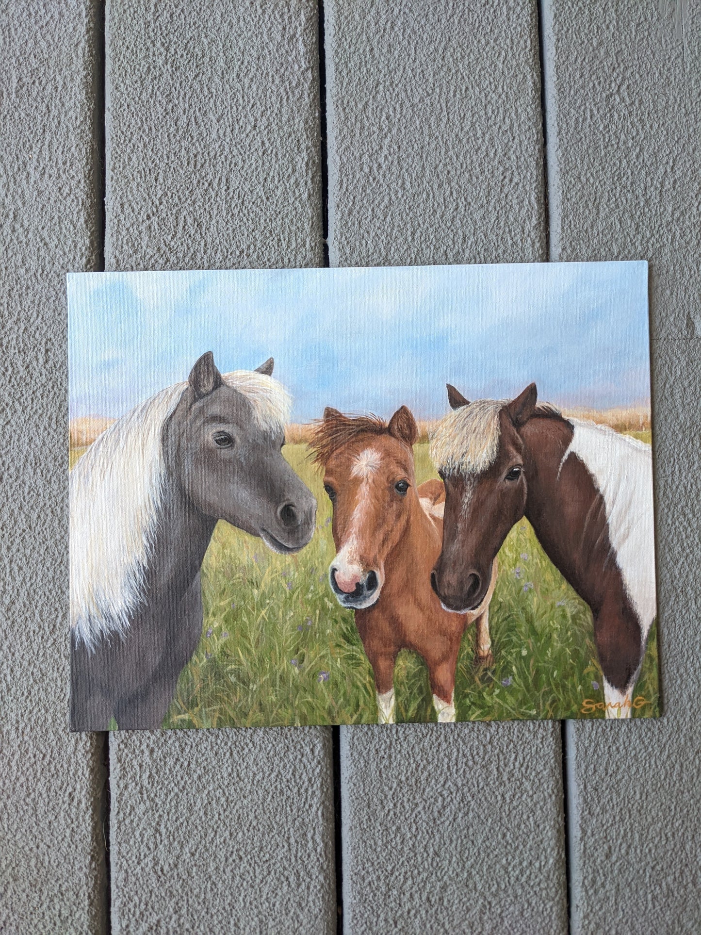 Custom Pet Portraits on Canvas
