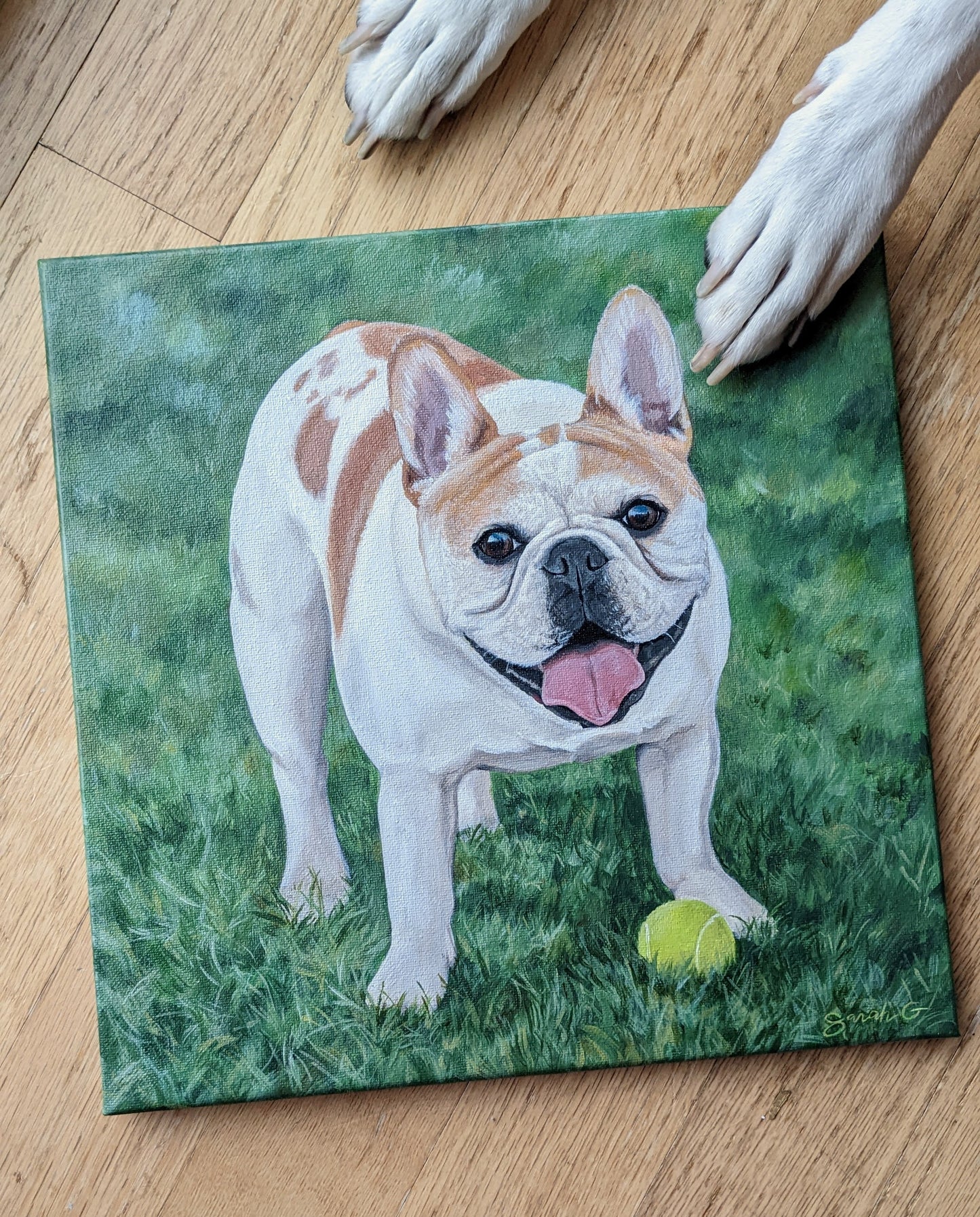 Custom Pet Portraits on Canvas
