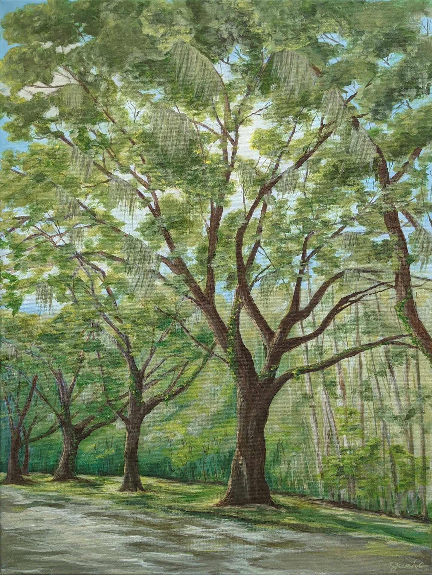 Wormsloe Historical site Art print