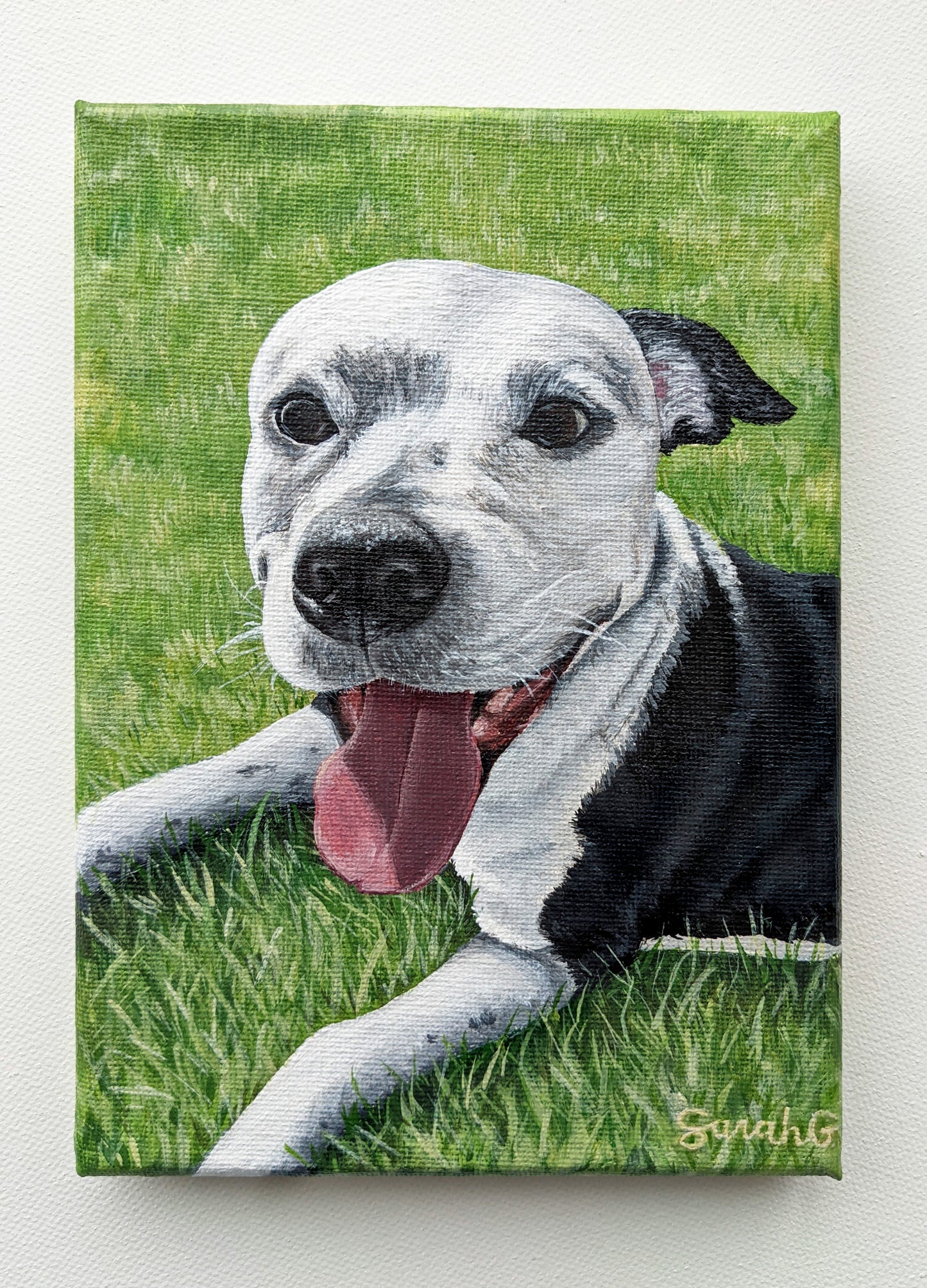 Custom Pet Portraits on Canvas