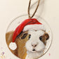 Painted Animal Ornaments