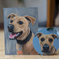 Pet Portrait SET