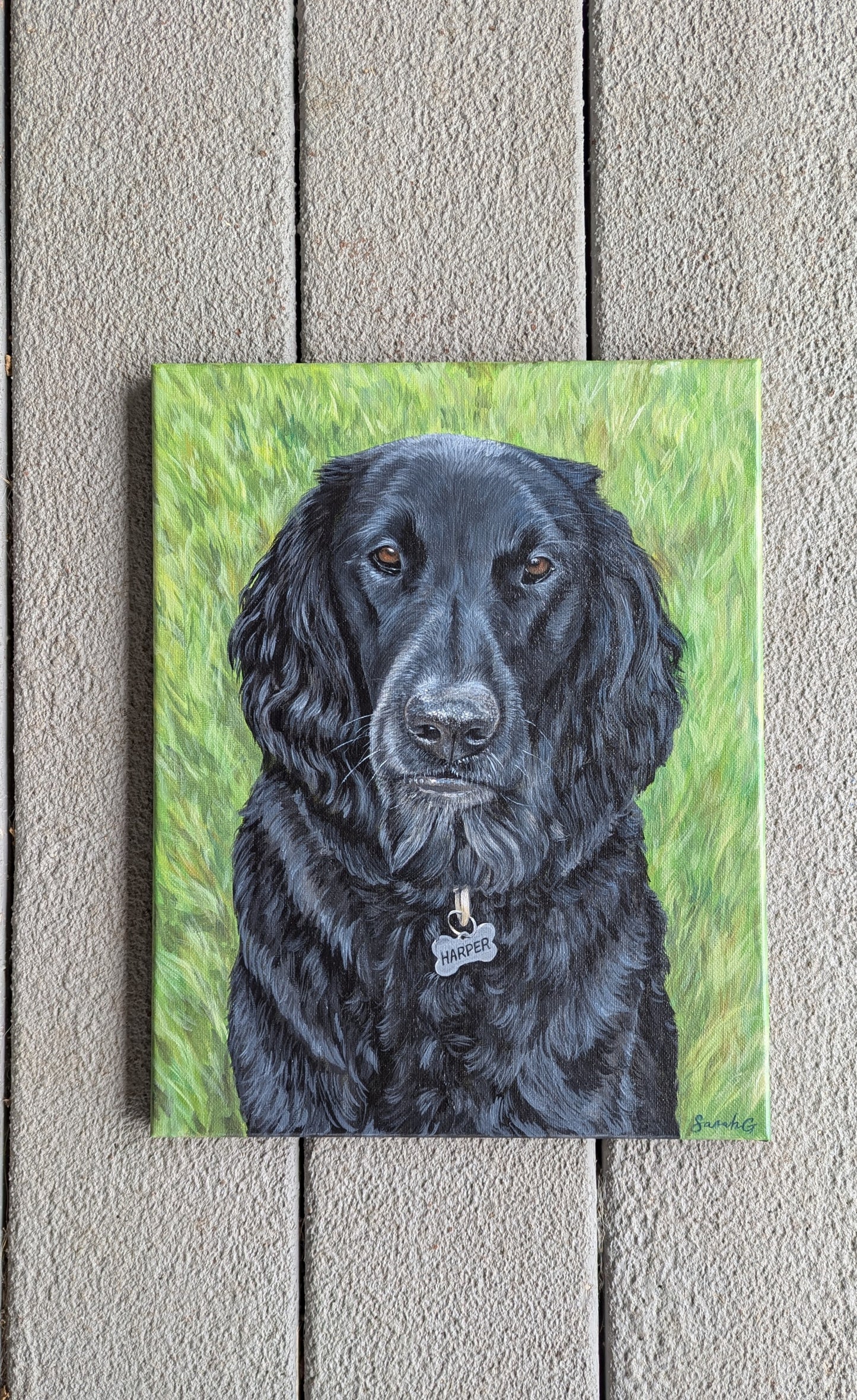 Custom Pet Portraits on Canvas