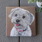 Custom Pet Portraits on Canvas