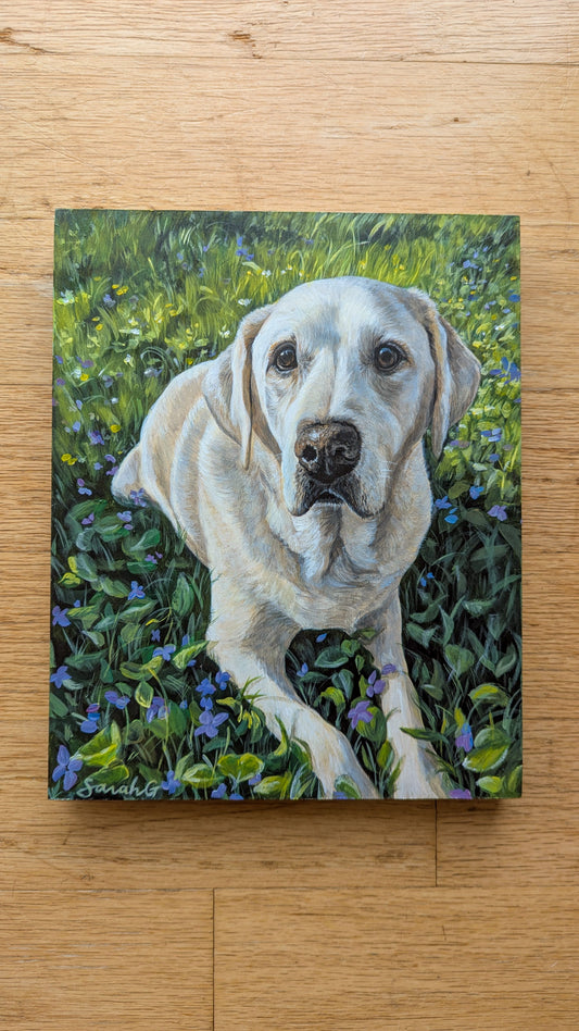 Custom Pet Portraits on Wood