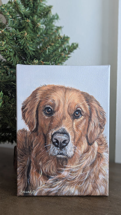 Custom Pet Portraits on Canvas