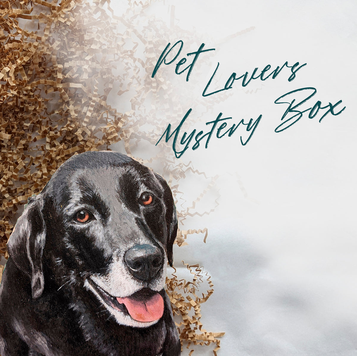 Pet Lovers Mystery Box