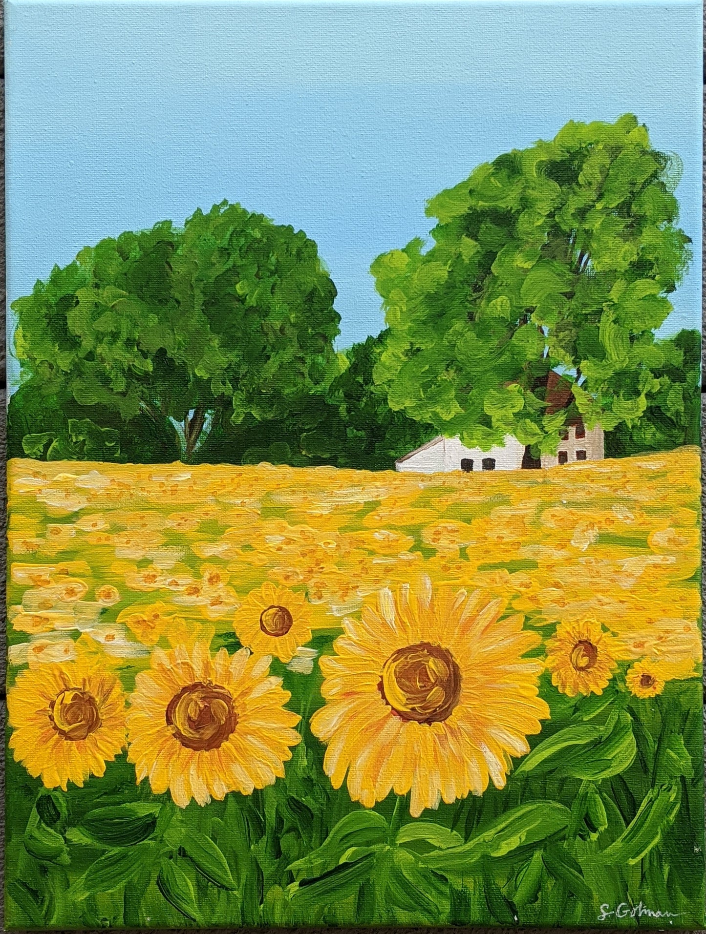 Floral original 5 | Sunflower field 12X16 canvas painting