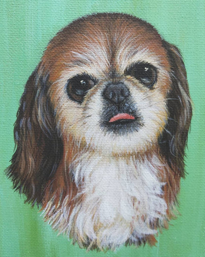 Custom Pet Portraits on Canvas