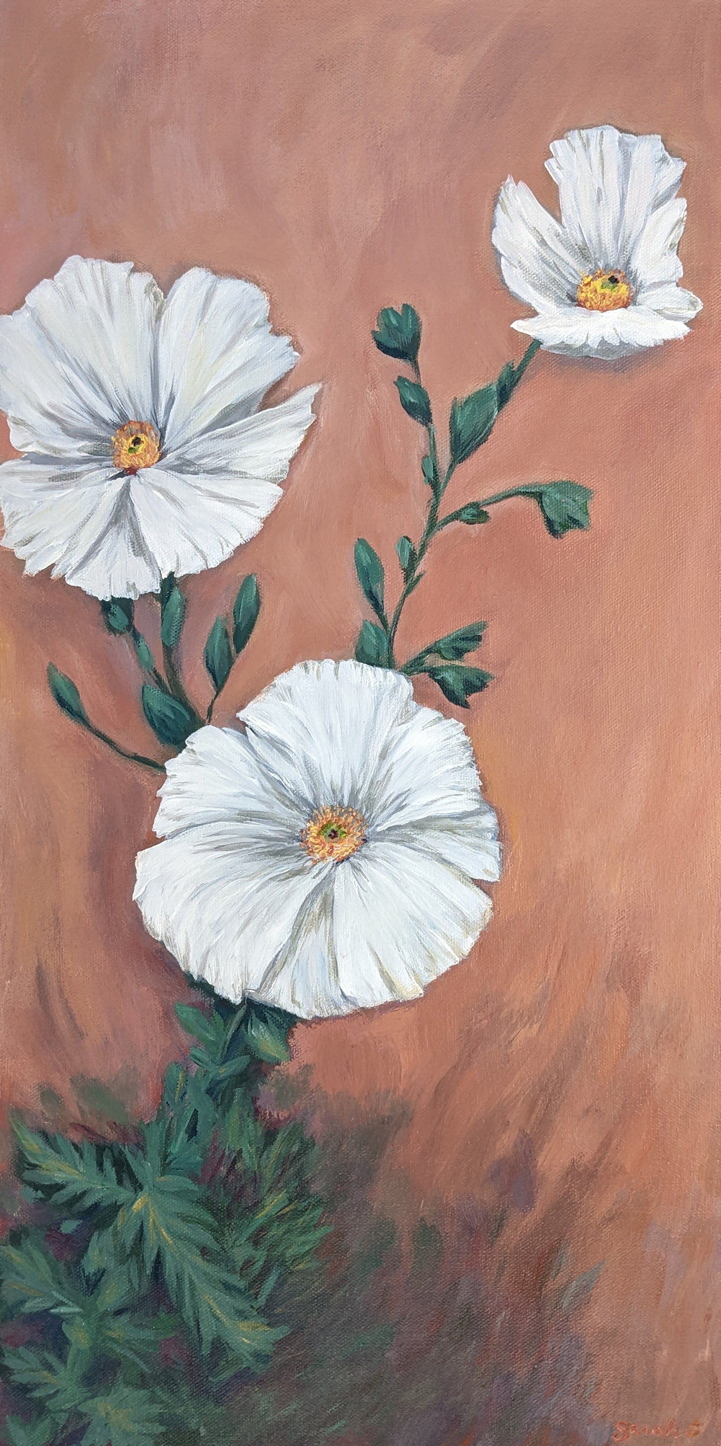 Desert Florals Art Print | Still in Bloom