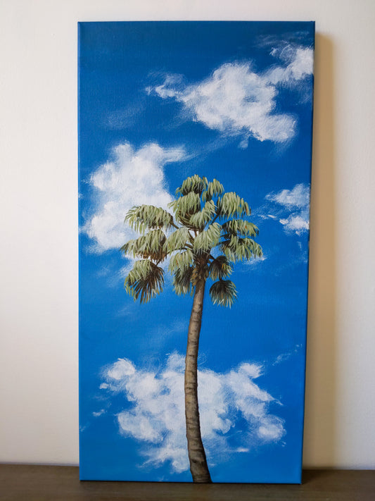 Blue skies and palm trees 1 | 10X20