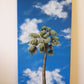Blue skies and palm trees 1 | 10X20