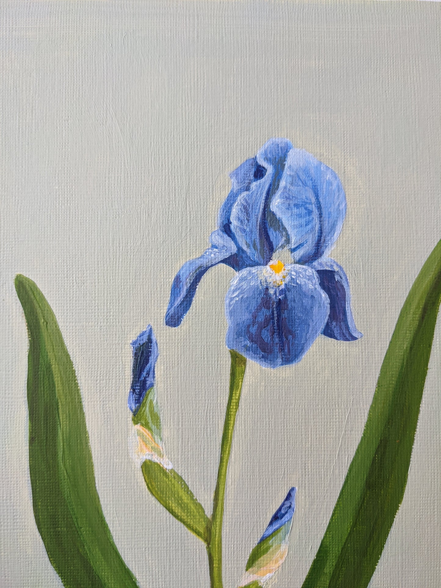 Day 22 Iris | 9X12 inch original painting