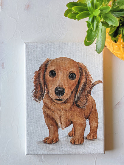 Custom Pet Portraits on Canvas