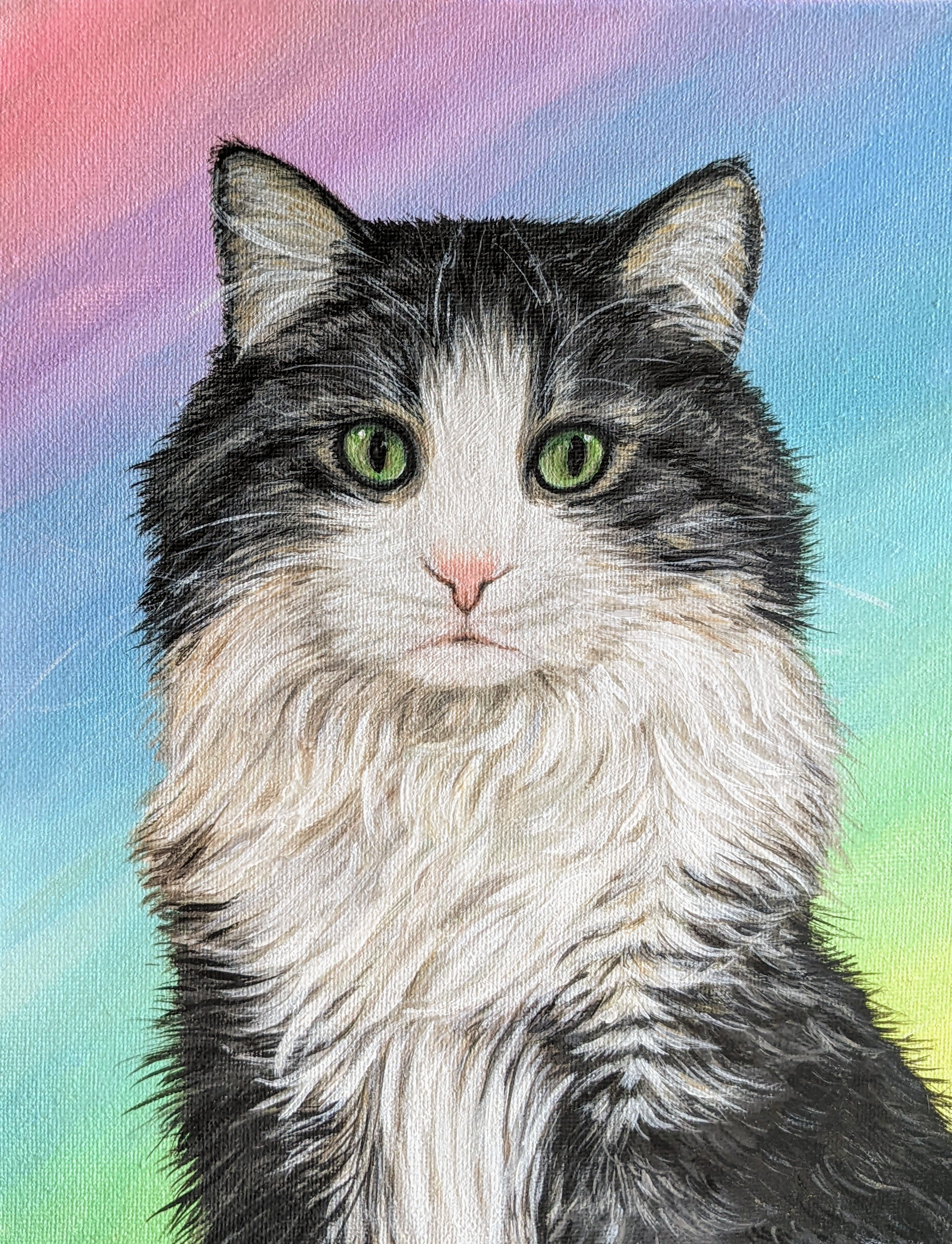 Oil Pet Portrait, Custom Pet Portrait, Animal Portrait, Animalism, Oil Portrait, Oil on Canvas, Stretched Canvas, Cat, outlet Dog, Fish, Painting