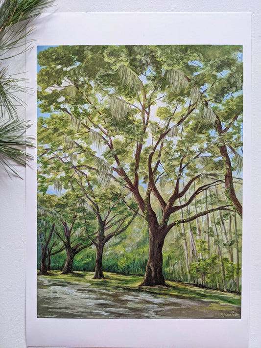 Driving through Savannah Art Print